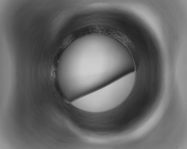 X0000110930766200906181156