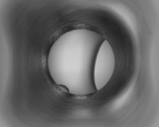 X0000110930767200906181156