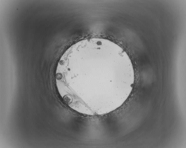 X0000110930769200906181155