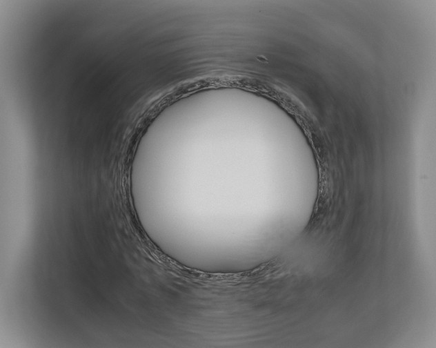 X0000110930773200906181155