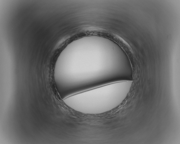 X0000110930775200906181155