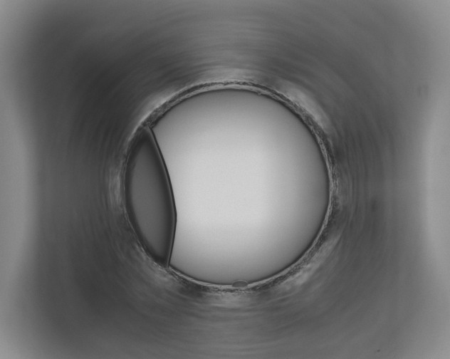 X0000110930781200906181155