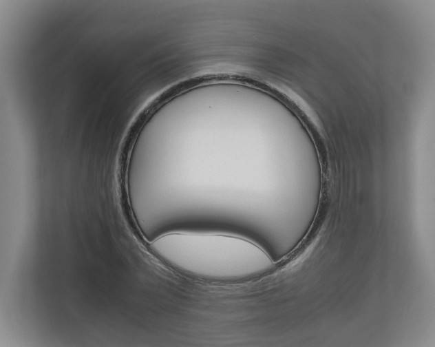 X0000110930783200906181155
