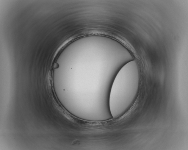 X0000110930798200906181155