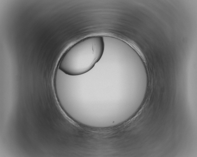 X0000110930805200906181154
