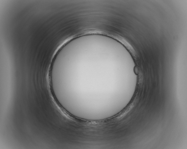 X0000110930806200906181154