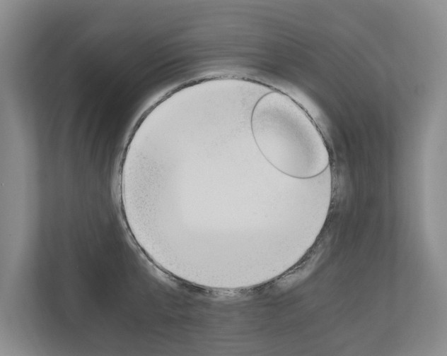 X0000110930807200906181154