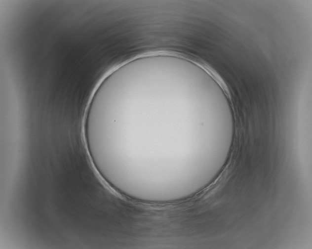 X0000110930813200906181154