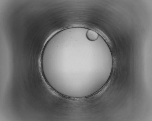 X0000110930814200906181154