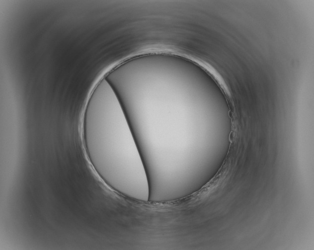 X0000110930815200906181154