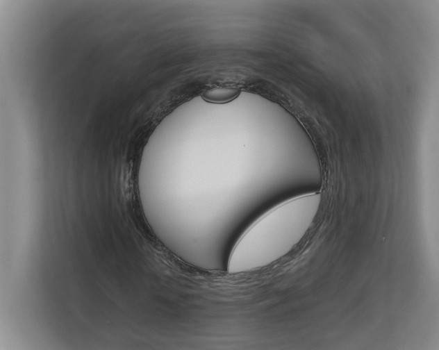 X0000110930818200906181154