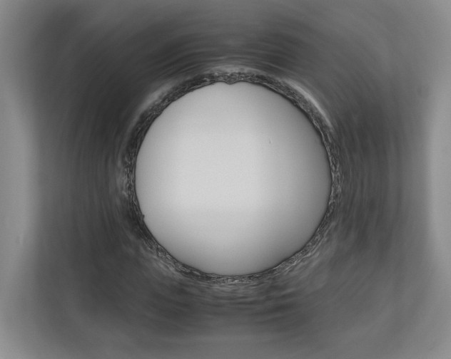 X0000110930823200906181154