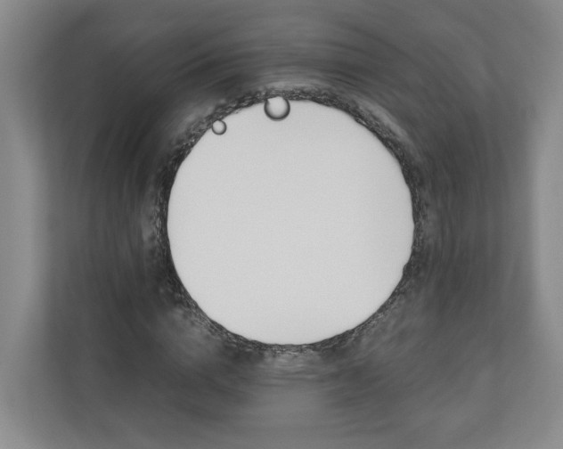 X0000110930824200906181154