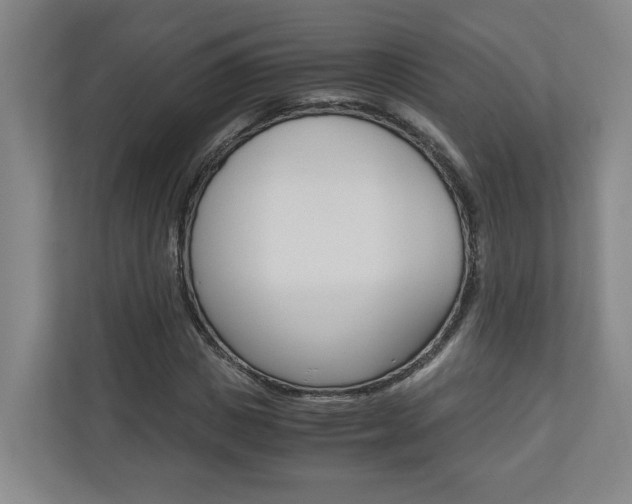 X0000110930825200906181154
