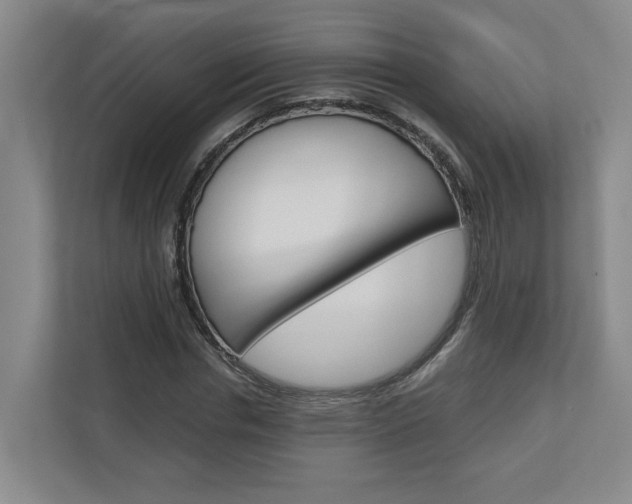 X0000110930826200906181154