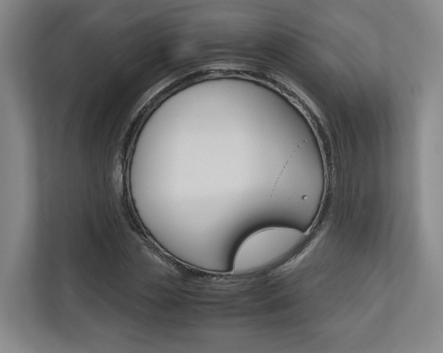 X0000110930829200906181154