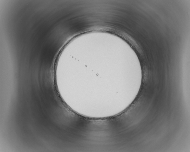 X0000110930836200906181154