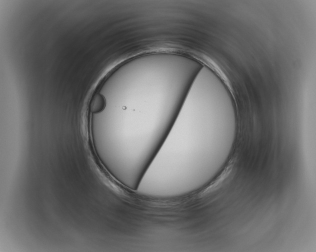 X0000110930843200906181154