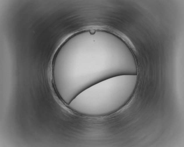 X0000110930844200906181154