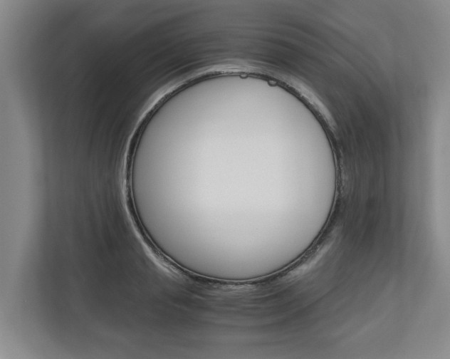 X0000110930845200906181154