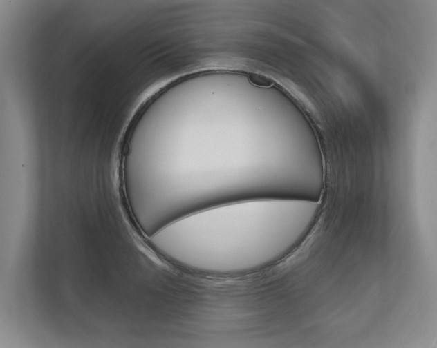X0000110930846200906181154