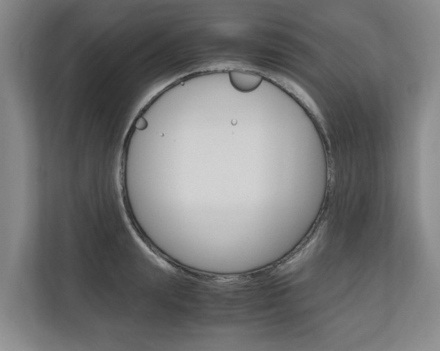 X0000110930847200906181154