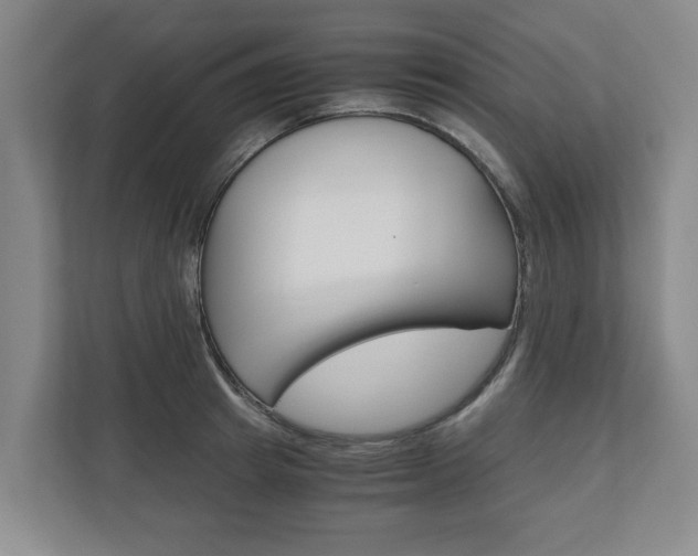 X0000110930849200906181154