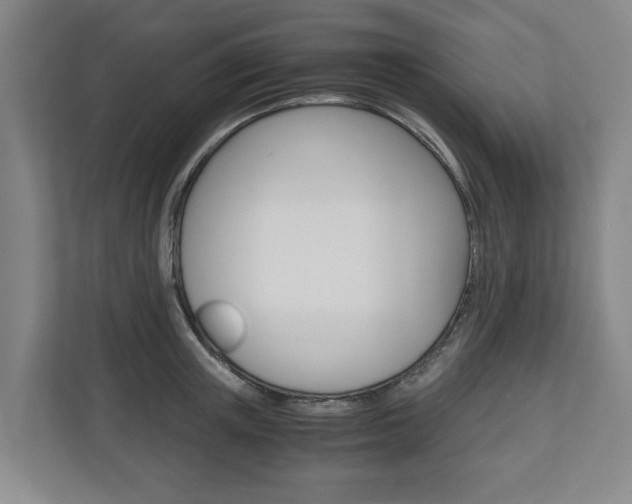 X0000110930851200906181154