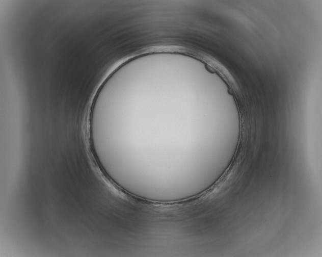 X0000110930852200906181154