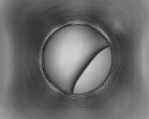 X0000110930853200906181154