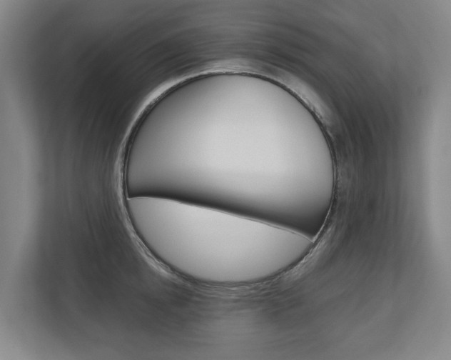 X0000110930854200906181154