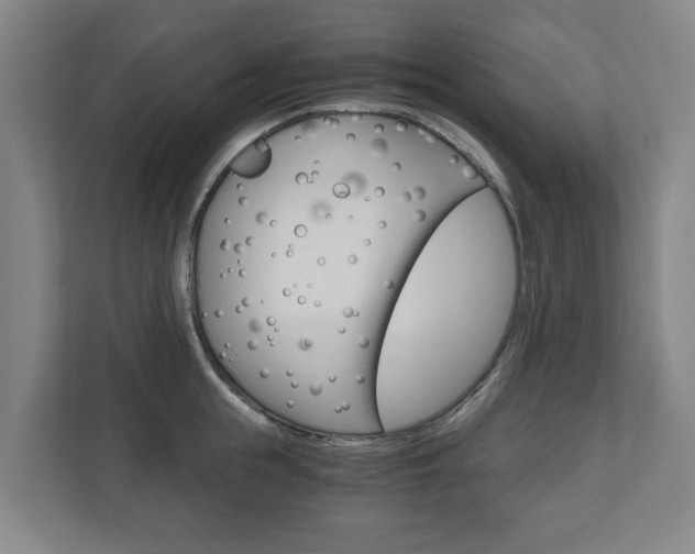 X0000110930855200906181154