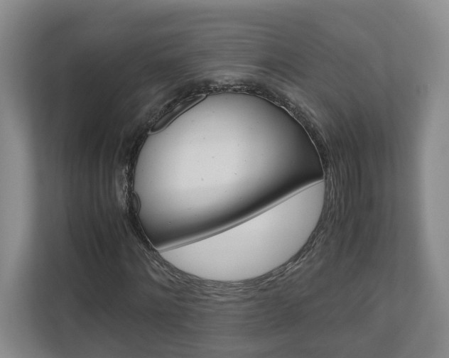 X0000110930868200906181154