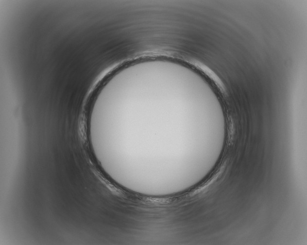 X0000110930878200906181154