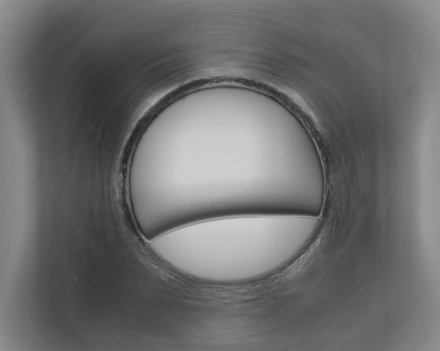 X0000110930879200906181153