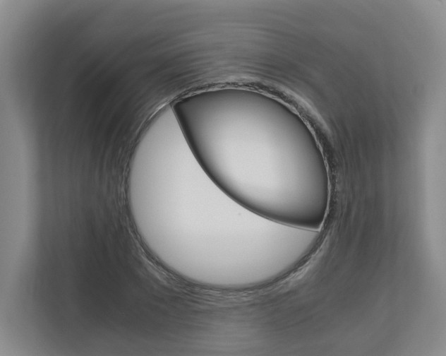 X0000110930881200906181153