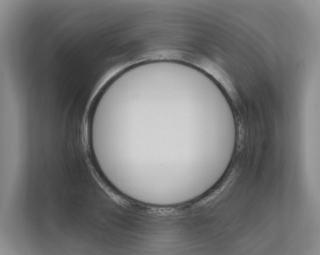 X0000110930886200906181153