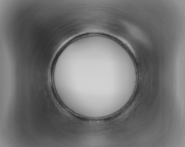 X0000110930887200906181153