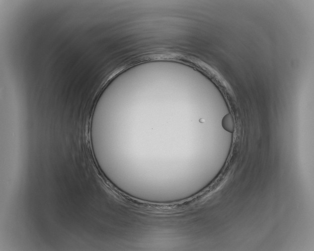 X0000110930889200906181153