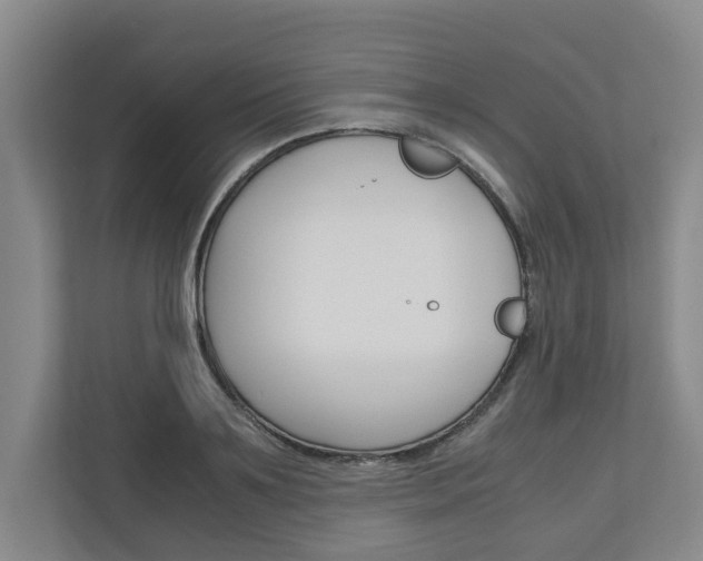 X0000110930891200906181153