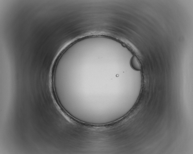 X0000110930894200906181153