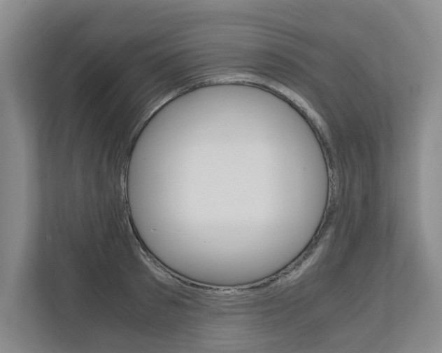 X0000110930897200906181153