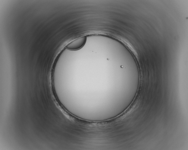X0000110930898200906181153