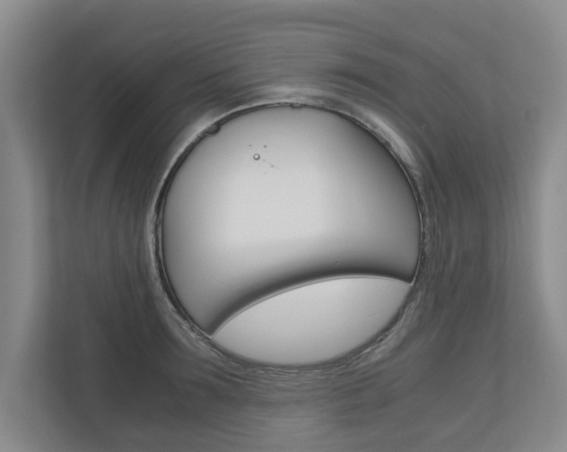 X0000110930899200906181153