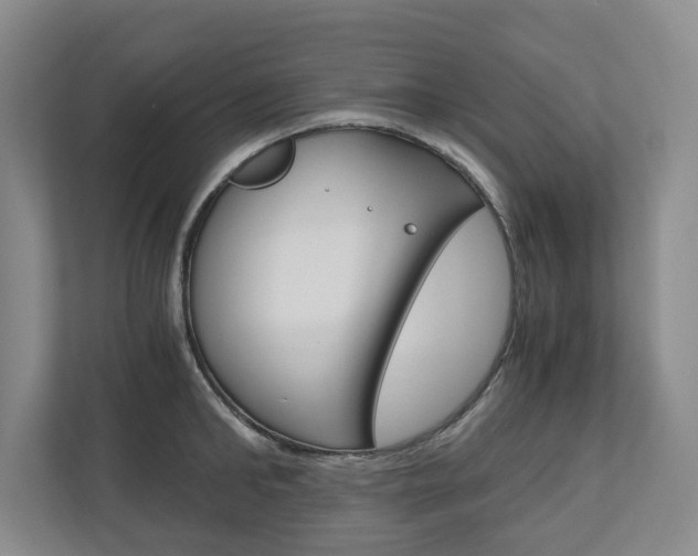 X0000110930902200906181153
