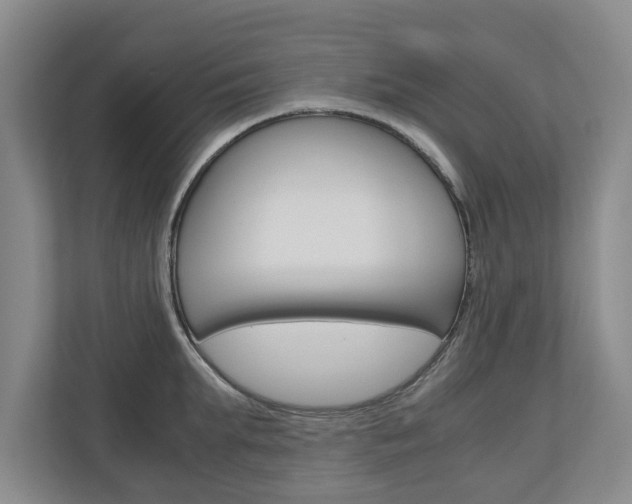X0000110930903200906181153
