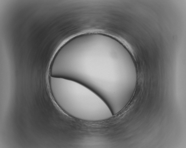 X0000110930911200906181153