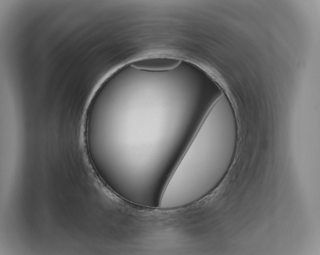 X0000110930912200906181153