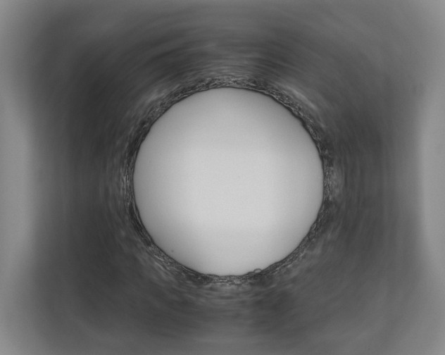 X0000110930917200906181152