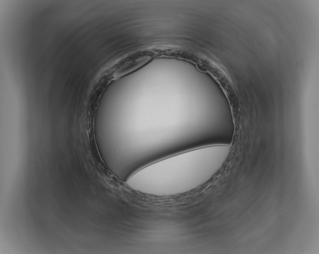 X0000110930920200906181153